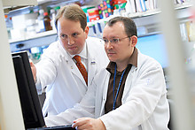 Gynecologic oncologist Douglas Levine (left) and postdoctoral research fellow Petar Jelinic are using the new web tool to explore genetic changes that occur in ovarian cancer.